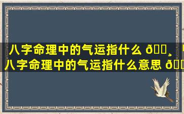 八字命理中的气运指什么 🕸 「八字命理中的气运指什么意思 🌺 」